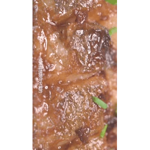 美食菜系做法14572