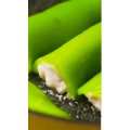 美食菜系做法14597