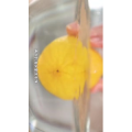 美食菜系做法14601