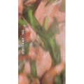美食菜系做法14612