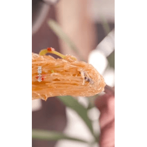 美食菜系做法14616