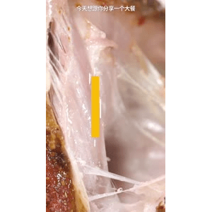 美食菜系做法14634