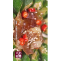 美食菜系做法14656