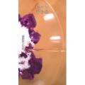 美食菜系做法14666