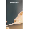 美食菜系做法14668
