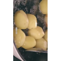 美食菜系做法14709