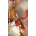 美食菜系做法14789