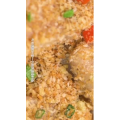 美食菜系做法14813