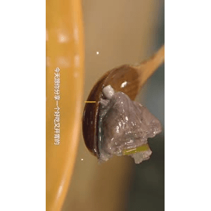 美食菜系做法14821