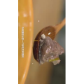 美食菜系做法14821