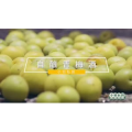 美食菜系做法14830