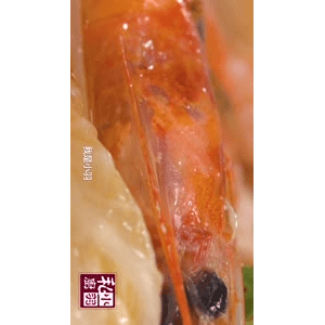 美食菜系做法14874