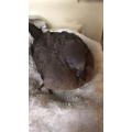 美食菜系做法14943