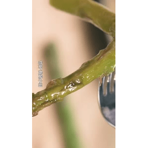 美食菜系做法14978
