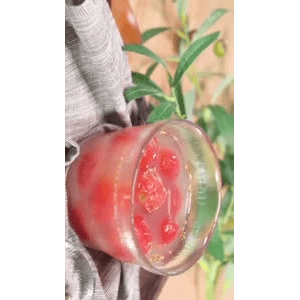 美食菜系做法15120