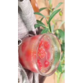 美食菜系做法15120