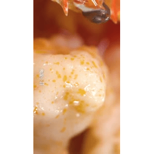 美食菜系做法15148