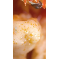 美食菜系做法15148