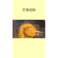 美食菜系做法15256