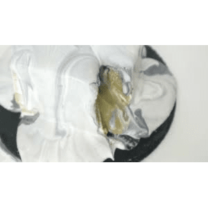 美食菜系做法15508