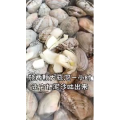美食菜系做法16640