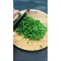 美食菜系做法16808