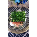 美食菜系做法17135