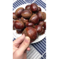 美食菜系做法17246