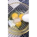 美食菜系做法17255