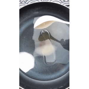 美食菜系做法17275