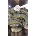 美食菜系做法17632