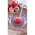 美食菜系做法18424