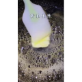 美食菜系做法19794