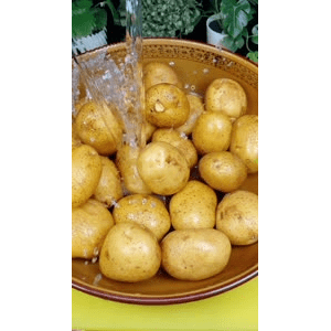 美食菜系做法21178