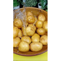 美食菜系做法21178
