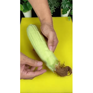 美食菜系做法21179