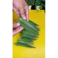美食菜系做法21183