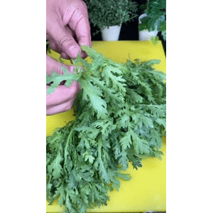 美食菜系做法21186