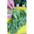 美食菜系做法21186