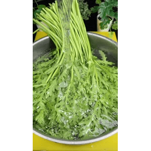 美食菜系做法21198