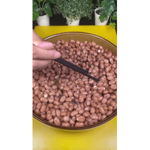 美食菜系做法21203