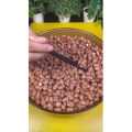 美食菜系做法21203