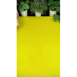 美食菜系做法21211