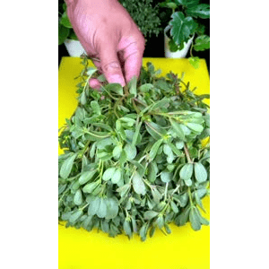 美食菜系做法21237