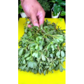 美食菜系做法21237