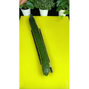 美食菜系做法21259