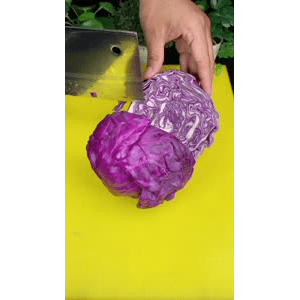 美食菜系做法21271