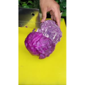 美食菜系做法21271
