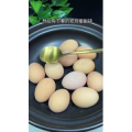 美食菜系做法21292