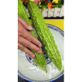 美食菜系做法21340